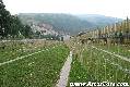 cangas del narcea,casas de aldea rurales,casa rural ,casas de aldea,rurales,casa rural,cangas del narcea,